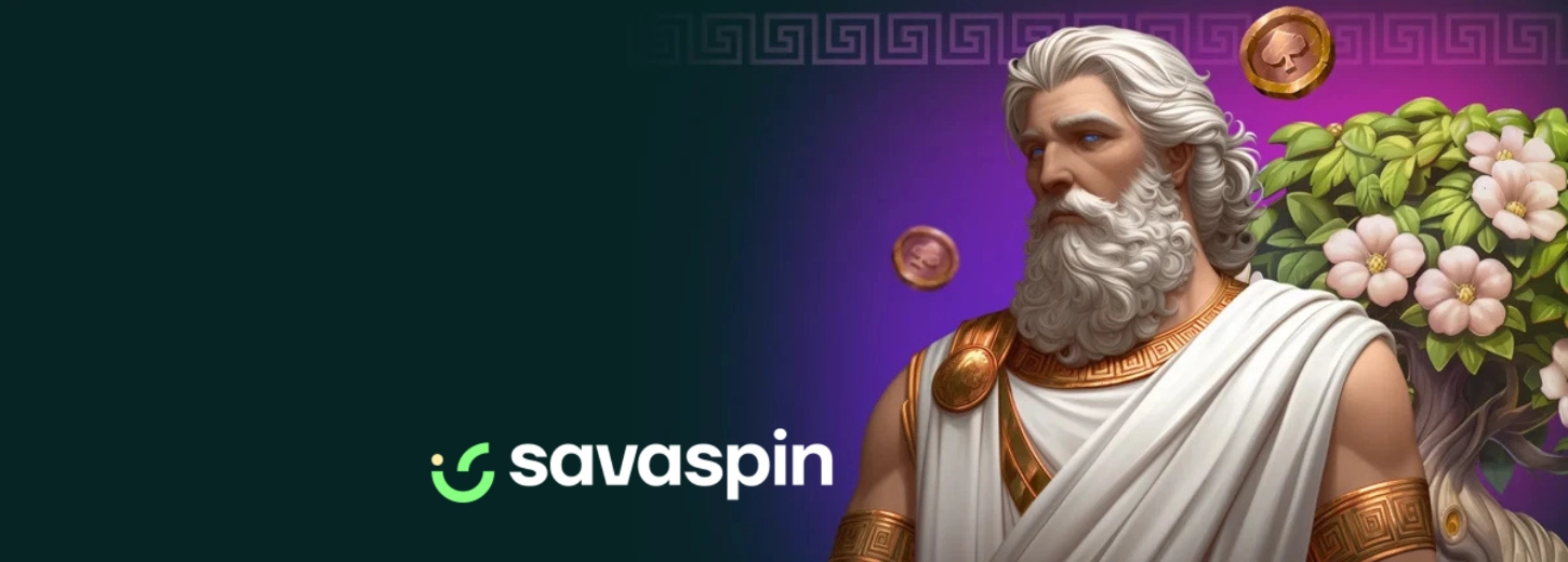 Savaspin banner